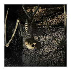 21381-halloweenska-dekoracia-kostra-netopiera-30cm