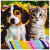MALATEC Diamantové maľovanie - pes a mačka