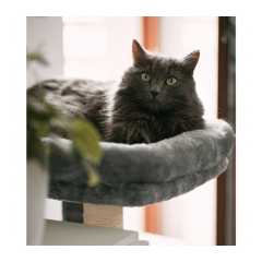 22823-purlov-skrabadlo-pre-macky-71-cm-seda