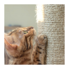 22828-purlov-skrabadlo-pre-macky-71-cm-seda