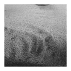 22834-purlov-skrabadlo-pre-macky-71-cm-seda