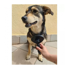 22948-purlov-samocistiaca-kefa-na-psy-a-macky-hair-brush