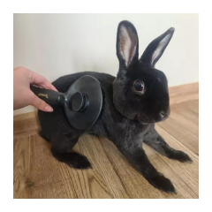 22949-purlov-samocistiaca-kefa-na-psy-a-macky-hair-brush