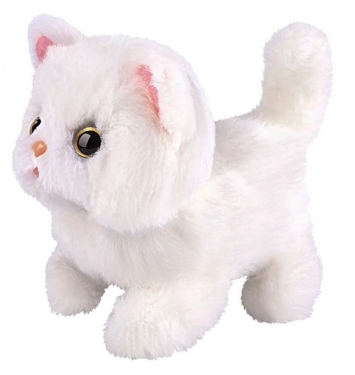 ISO Interaktívne mačiatko