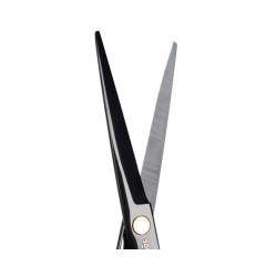 24122-soulima-profesionalne-kadernicke-noznice-17-cm
