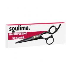 24127-soulima-profesionalne-kadernicke-noznice-17-cm