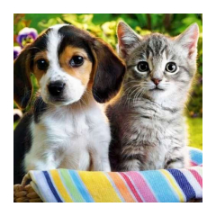 24579-malatec-diamantove-malovanie-pes-a-macka