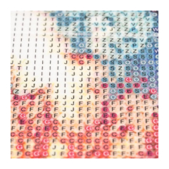 24587-malatec-diamantove-malovanie-pes-a-macka