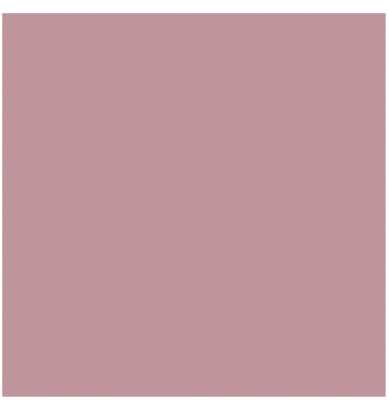 MAKI obedové obrúsky Everyday 33x33cm SL OG 049701 20ks