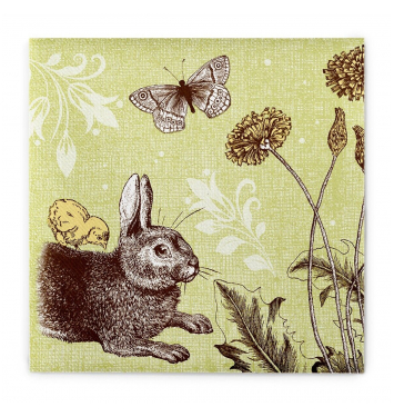 MANK 93631 obrúsky Airlaid Dinner 40x40cm Peter zelená 50ks