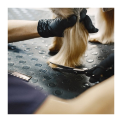 25593-purlov-sada-noznic-a-prislusenstva-na-strihanie-srsti