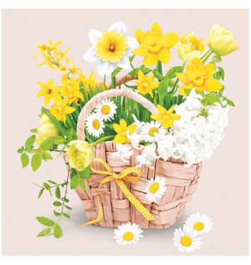 DAISY obedové obrúsky Everyday 33x33cm SD WI 007401 20ks