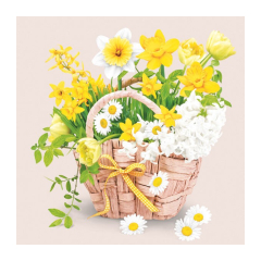 DAISY obedové obrúsky Everyday 33x33cm SD WI 007401 20ks